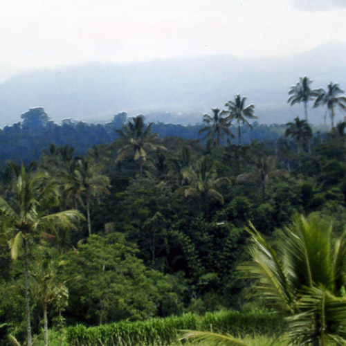 Bali - ein Naturparadies im Indischen Ozean