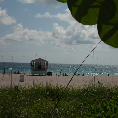 Florida - you will love it!