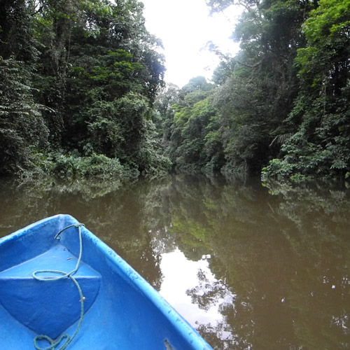 Hola aus Costa Rica