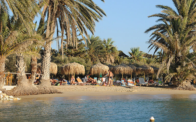 ein Bild des Irini Strandes auf Paros mit Blick auf Palmen