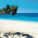 ein weißer Strand in Griechenland mit blauem Meer und einem zärtlichen Baum