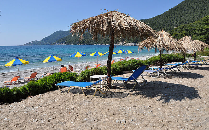 ein Bild des Milia Strandes auf Skopelos mit Sonnenschirmen und Blick auf das Meer