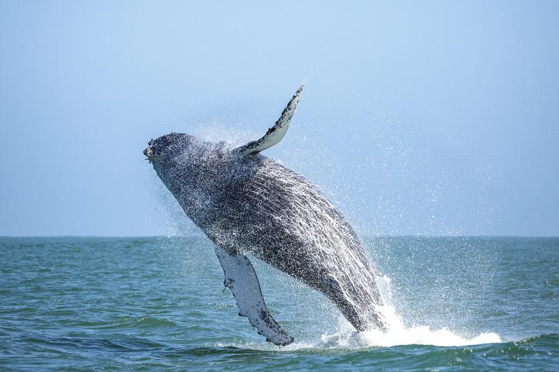 Kanada - Natur, Landschaft & Städte