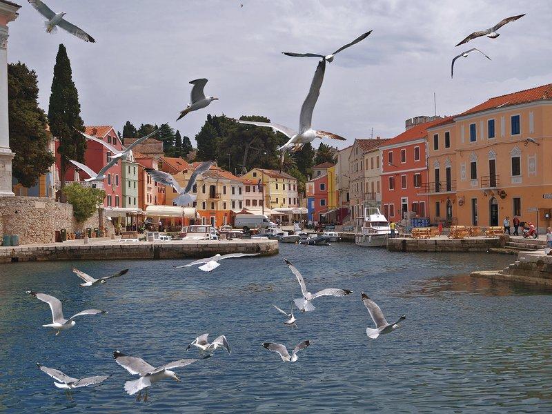 Insel Losinj, Vitalityhotel Punta, Stadtansicht
