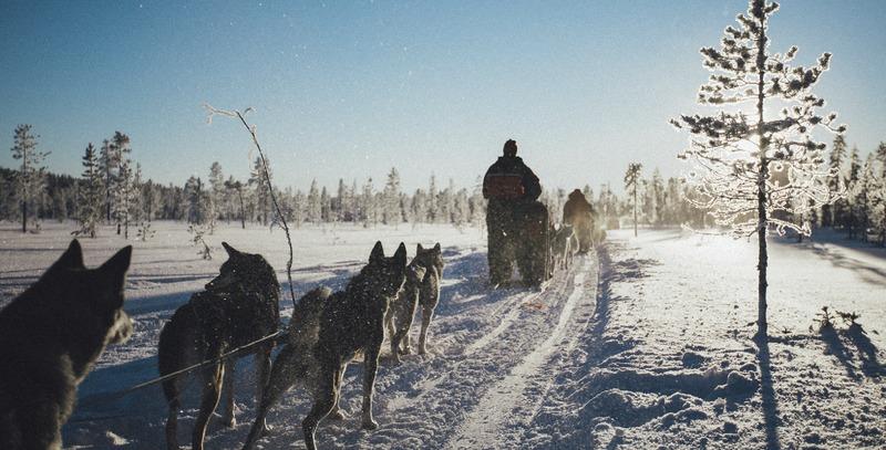 FINNLAND - Winterzauber