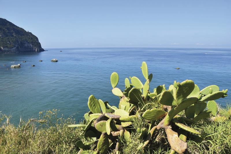 Ischia, Thermalgärten