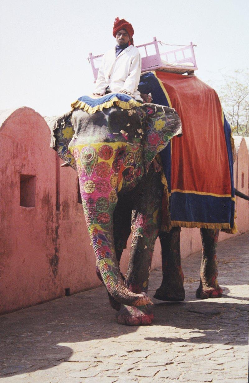 Indien, Jaipur